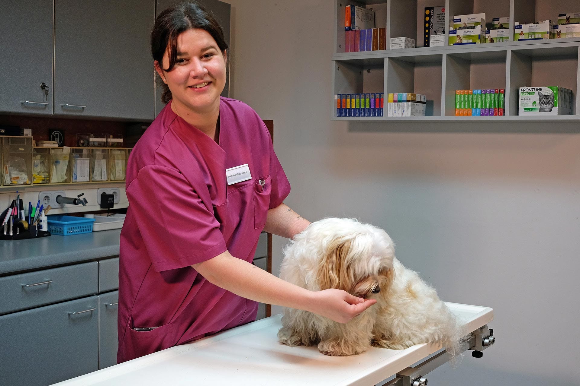 Hund sitzt am Untersuchungstisch. Helferin hält den Patienten.