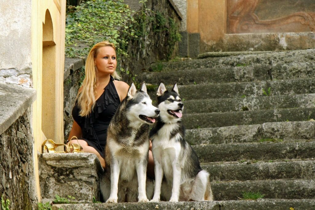 Auf einer vermoosten Stiege sitzt eine junge elegante Frau mit einem schwarzen Kleid mit zwei Husky. Denkt Sie über eine Kastration der Rüden nach?