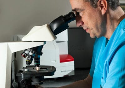 Dr. Maurizio Colcuc, Fachtierarzt für Dermatologie sitzt am Mikroskop und beurteilt dermatologische Prüfung.